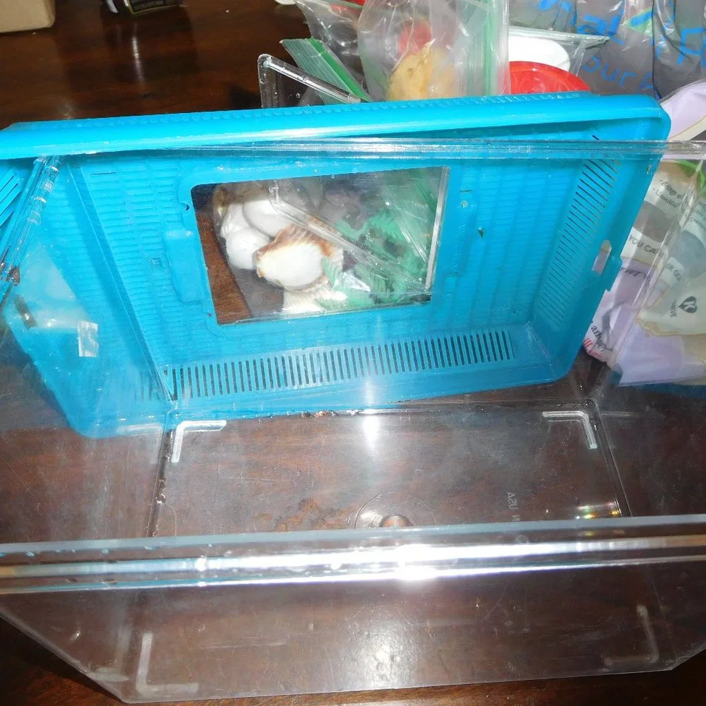 Portable Hermit Crab Carrier & Assorted Items